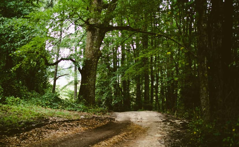 Unauth title oJsfpsMH